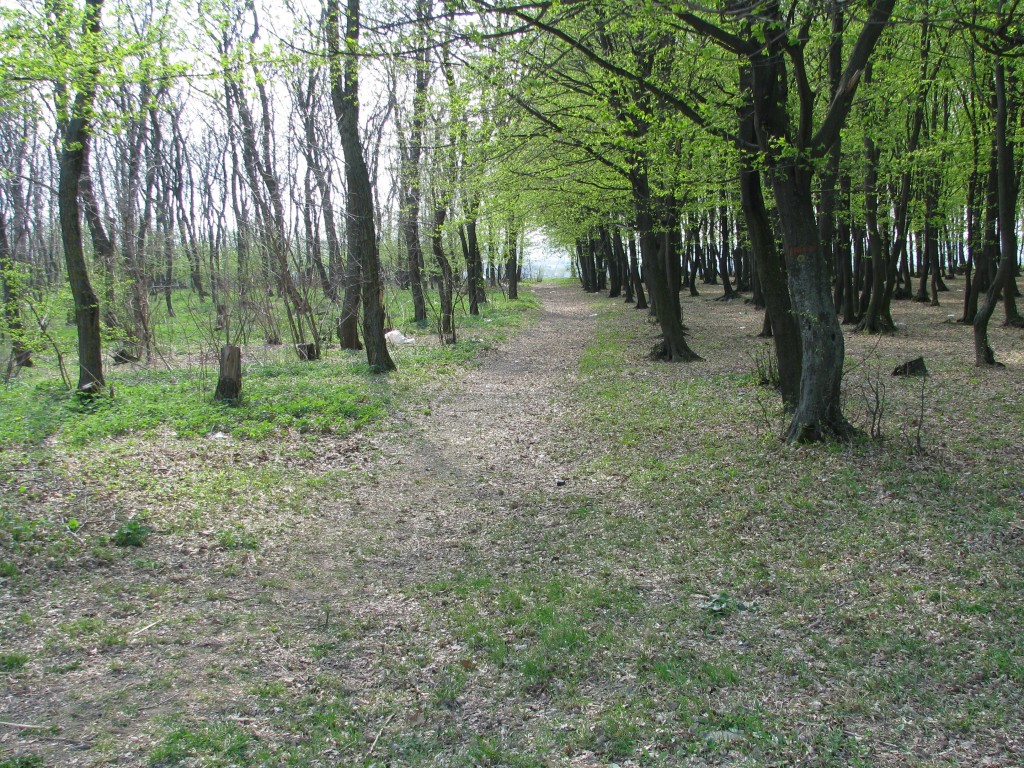 img_2604