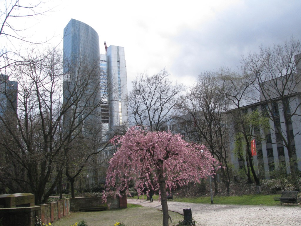 Frankfurt